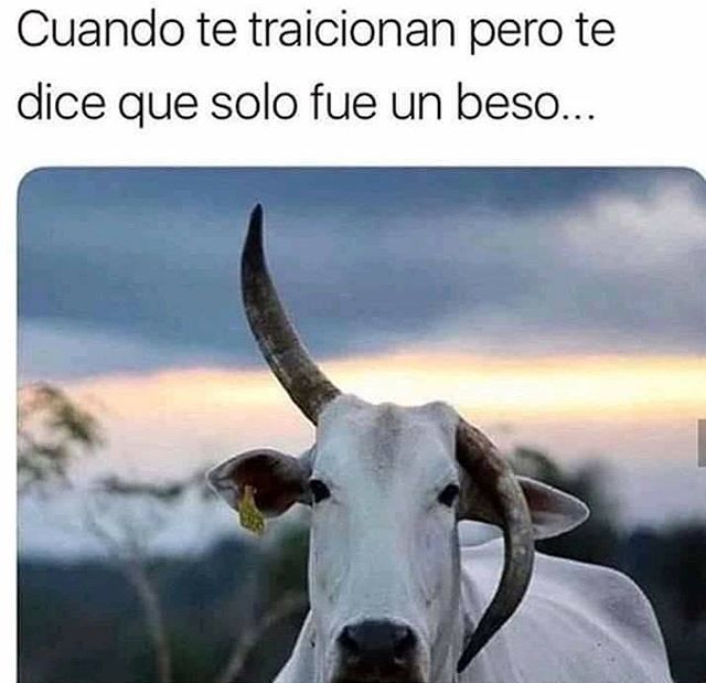 CorridosVIP's tweet photo. Ah bueno 😂😂😂 .
.
.
#corridosvip #corridos #teamcorridosvip #corridosviprecords https://t.co/GELpEYnAQ0 https://t.co/SFIC5mp01a