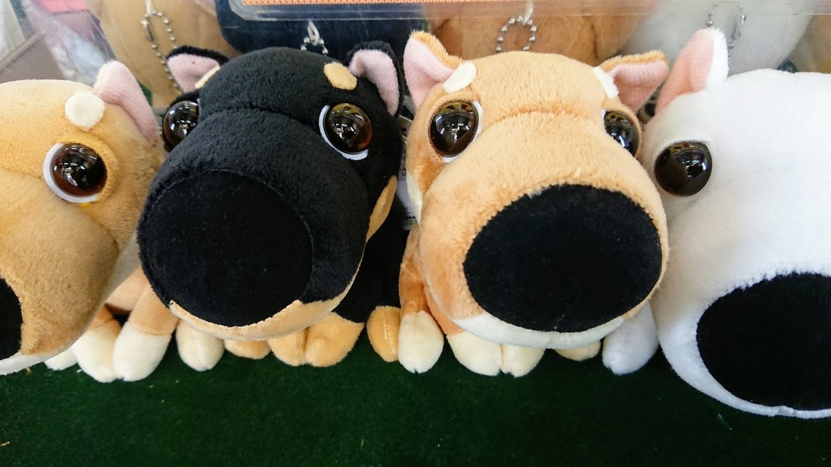 טוויטר A R F Mars マーズ 公式 בטוויטר The Dog ボールチェーン付き おすわりぬいぐるみ シバ 投入中です ご来店お待ちしております Thedog Arfmars T Co Ynhctm9aoy