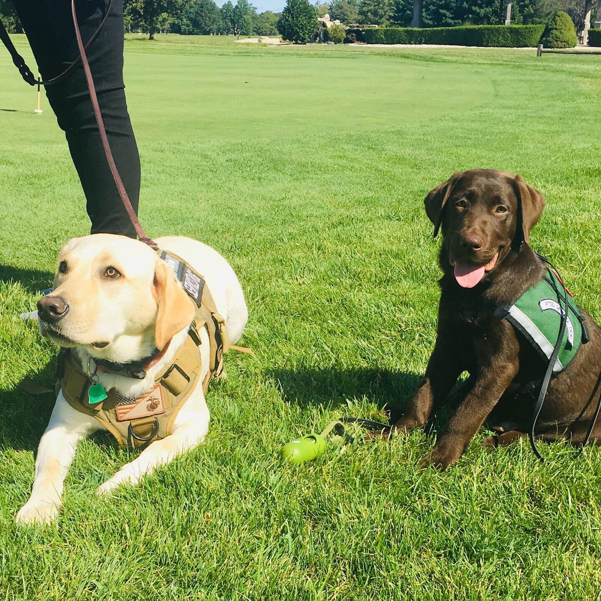 gy6ptsdsupport1's tweet photo. A huge THANK YOU to all that came together, to make this years GOLF SCRAMBLE a blast! 🎉⛳️ #fundraiser #golf #golfswing #gotyoursix #gy6 #ptsd #ptsddogs #ptsdsupportdogs #ptsdservicedogs #dogsoftwitter #servicedog #nonprofit #stop22aday #ptsdrecovery #golfdog #holeinone https://t.co/CxpnRXG2n7