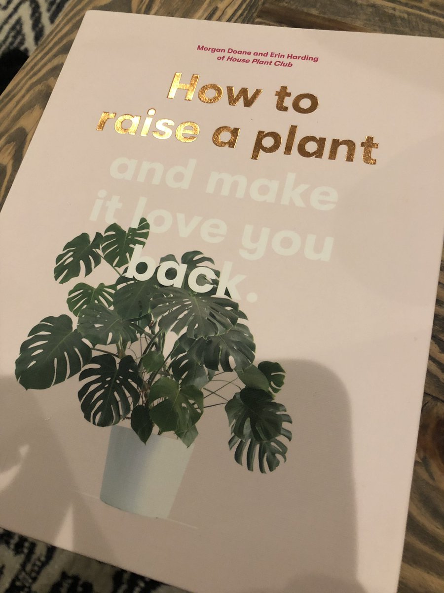 storeyfilms's tweet image. I just realized how cool I was when I picked my reading for Saturday night. #jealous #sopopular #SaturdayNight