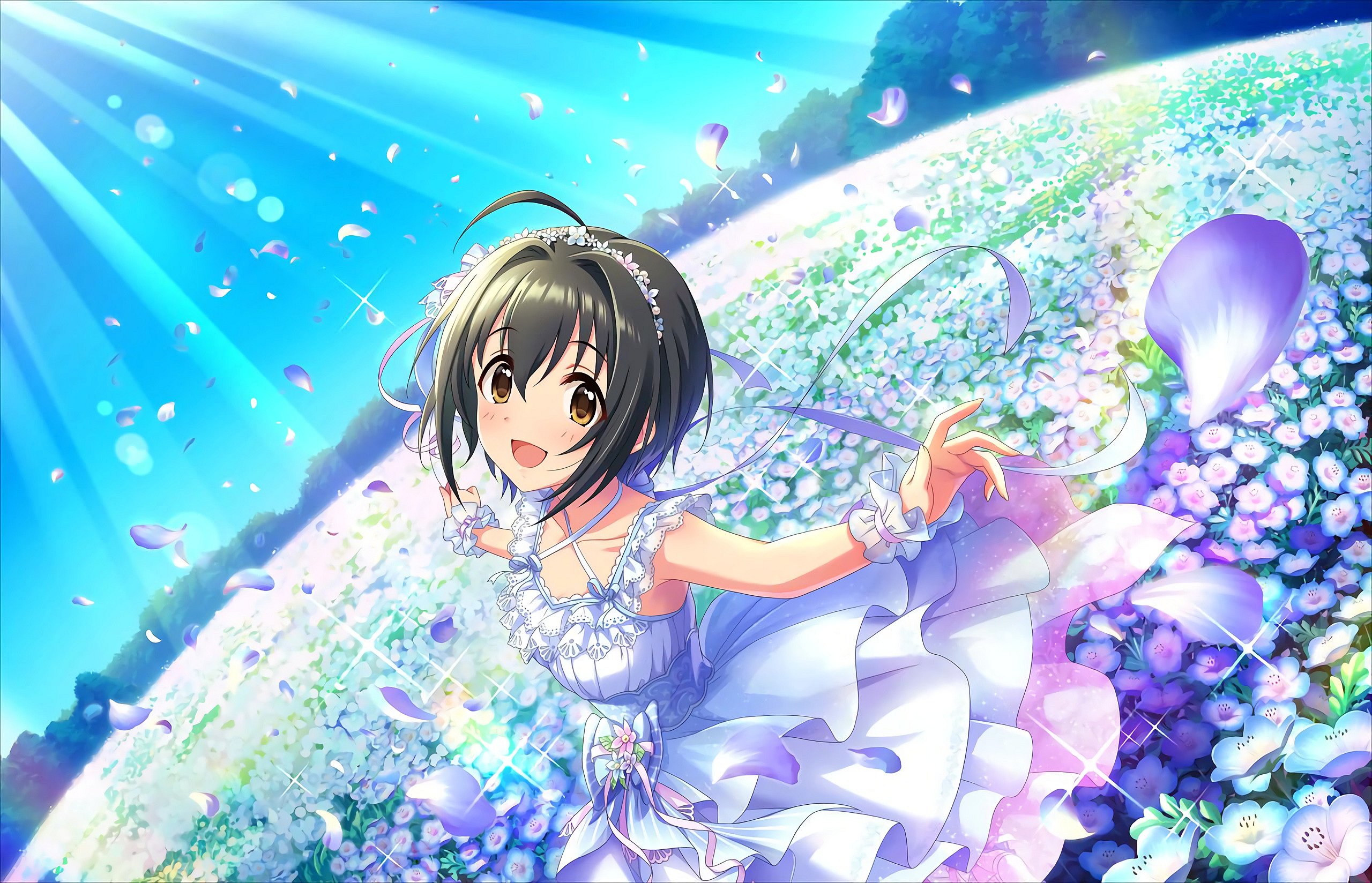 和泉@デレマス高画質 on X: 和泉@デレマス高画質 on X: