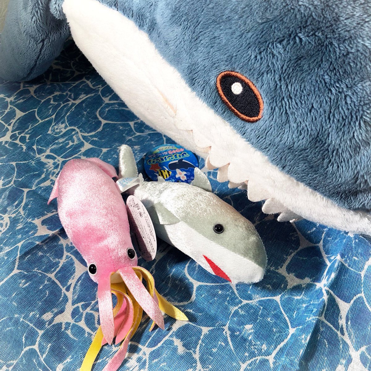 Lefty A Twitter 右下にいるイカとサメはワンピグッズではありませんw これ 通りすがりのゲーセンに入ってたのを見つけたフォロワーさん二人がせっせと海の幸を狩りまくったおこぼれをいただいたものでして 大漁ですごかったびっくりした 我が家の先輩の