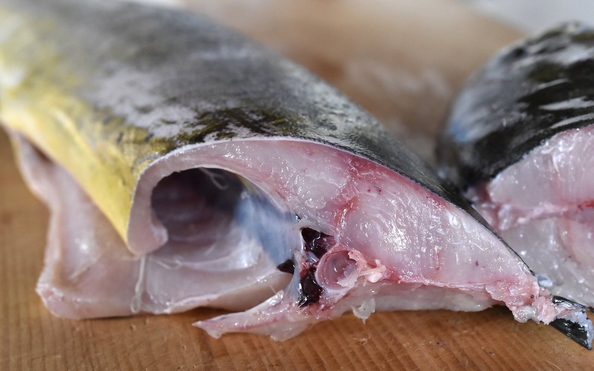 カルクウ シイラ これで赤身魚なんだ でもよく考えたらブリもこんな感じ まあ赤白どっちでもイイか