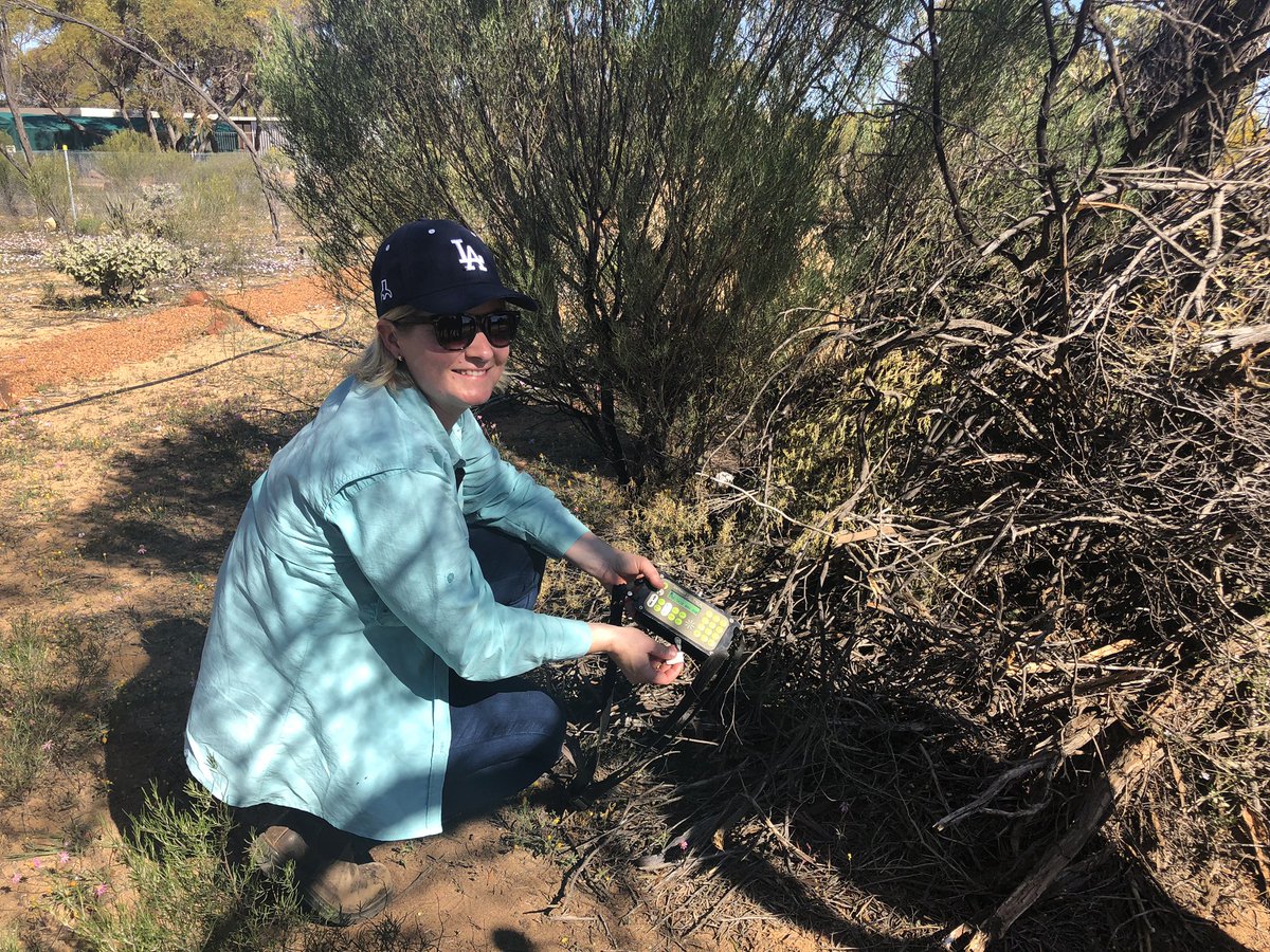 c_m_townsend's tweet photo. #MountGibson we will definitely be back!!! @PeelHarveyCC #TSforumWA @awconservancy https://t.co/mPgiNxwdjV