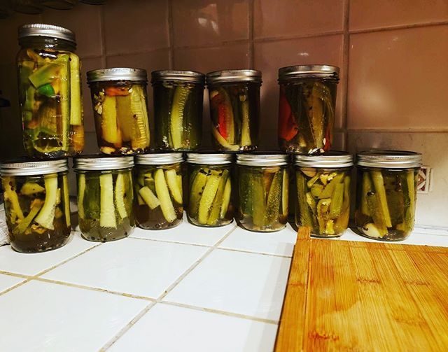 sosdog's tweet photo. Saturday Night Pickle Party with Dj Saucey! #adulting #homegrown #pickles https://t.co/gnxZi19ywY https://t.co/KaBgLik0gH