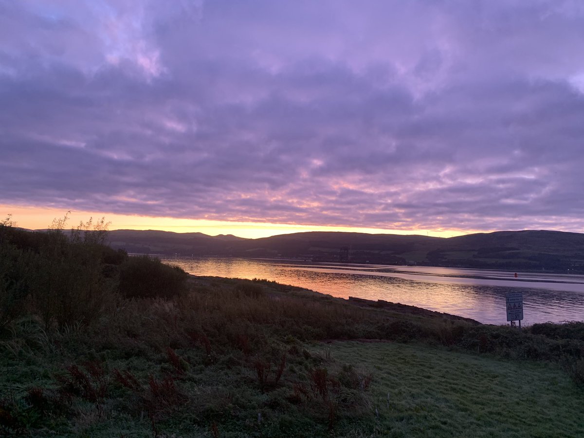 Steven Le Comber tweet media