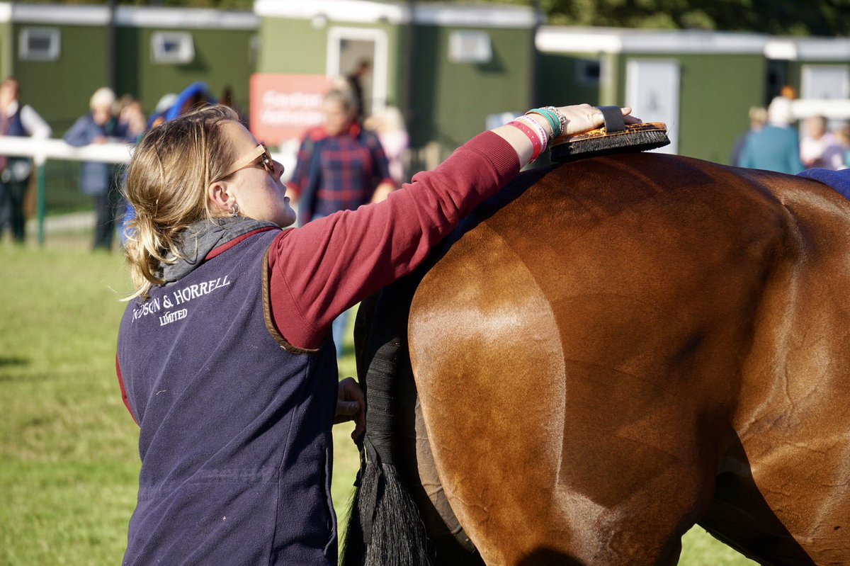 When your horse looks as well as this on Sunday morning at @LRBHT_Official! Vanir Kamira safely through the final horse inspection and on to show jumping this afternoon. A massive thank you to my groom <a href="/AmyPhillips88/">Amy Phillips</a> for all her hard work this week.🤩💫👌
