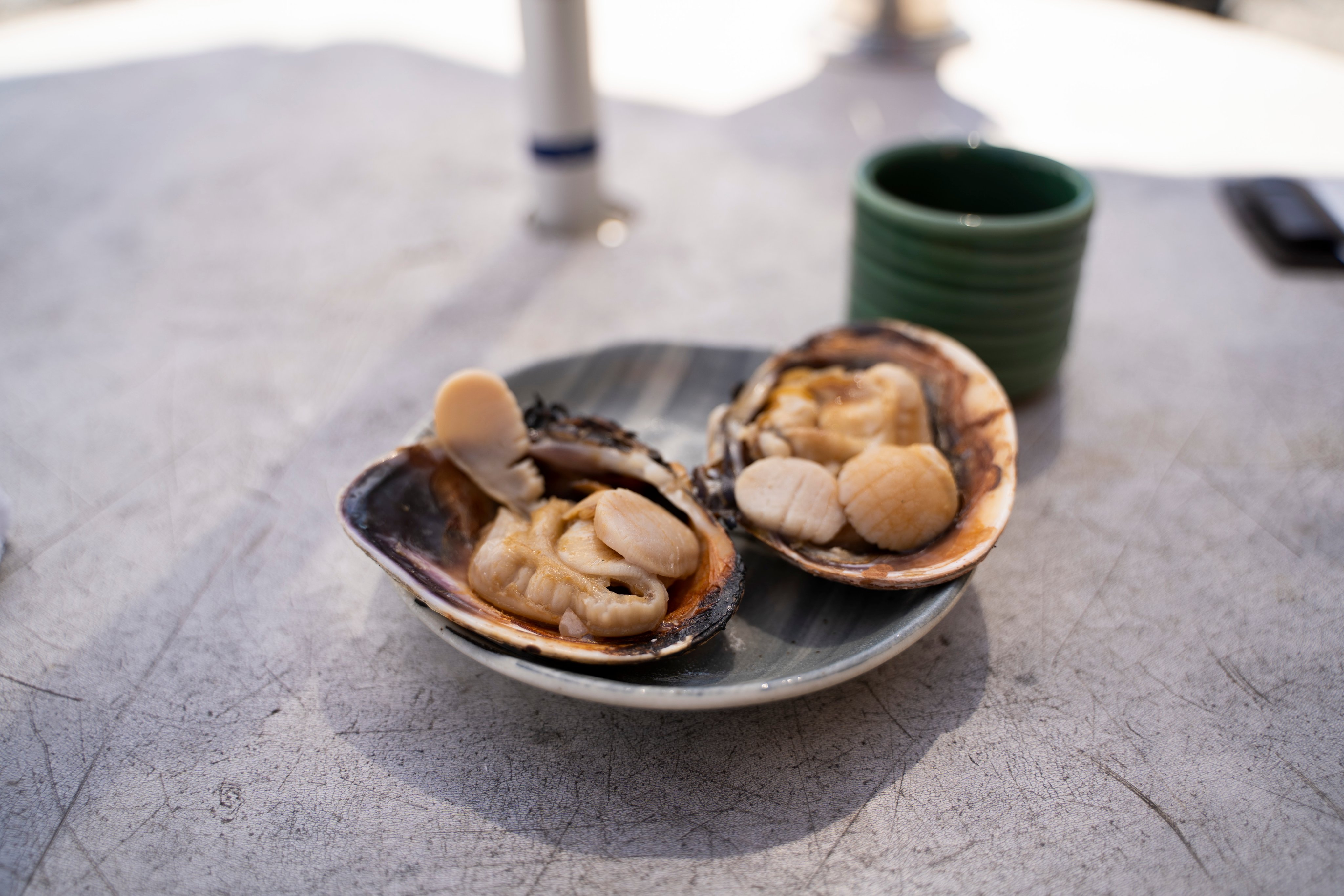 レンにゃ 昨日大アサリ食べたくなって 伊良湖岬の灯台茶屋さんに行ってきました 犬連れでしたがテラス席ならと声かけてくれたので食べにいけました 美味しかったー Corgi 灯台茶屋 おもち コーギー 大あさり 伊良湖岬 T Co Nmjj49assr