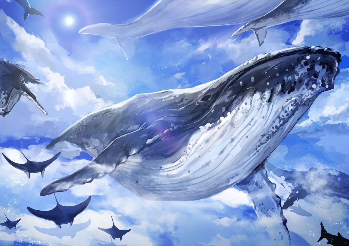 whale sky cloud no humans scenery animal day  illustration images