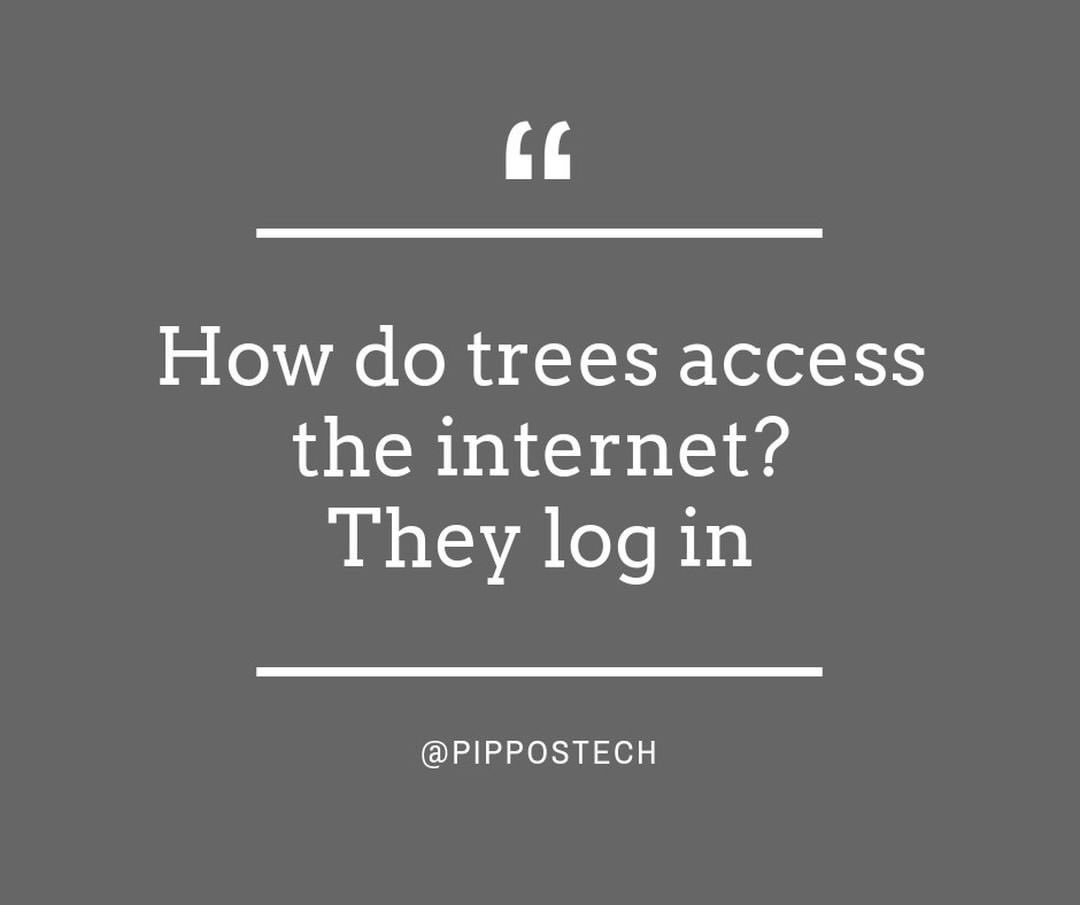 WherwoodNetwork's tweet image. I&apos;ll just leaf this here for you 🍃🍃🍃 Happy Punday! 🌳🌳🌳
.
📷 • @pippostech
.
#treepun #treejokes #forestry #environment #forest
#sustainability #woodisgood #trees #sustainable #woods #sustainableforestry #lumber #timber #forestproud #forests