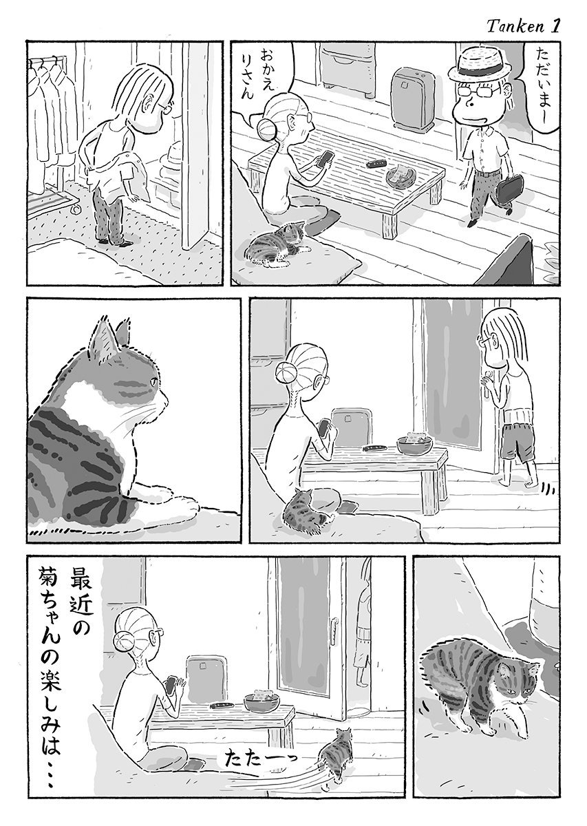 2ページ猫漫画「最近の探検」 