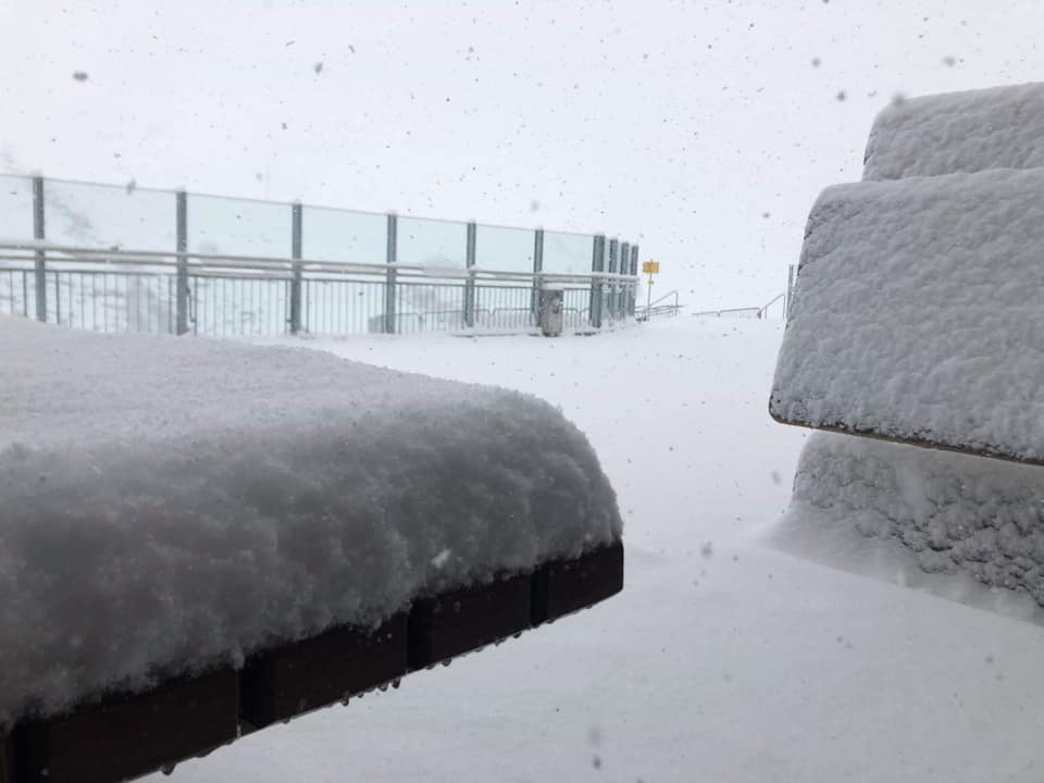 Snow Forecast.com tweet media