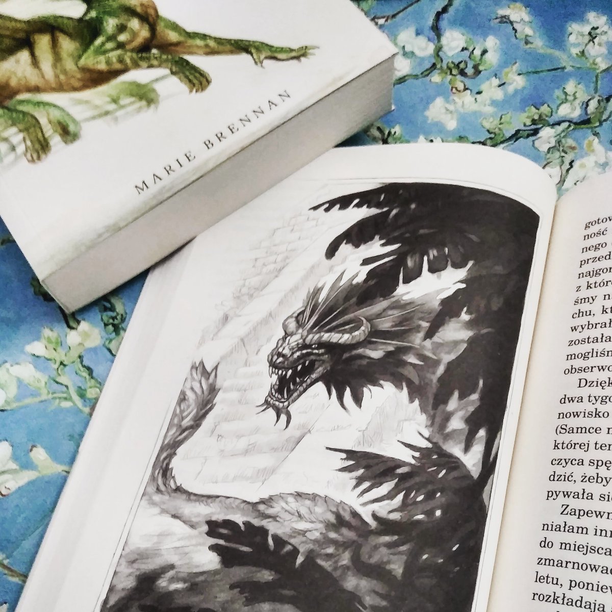 nerdheimpl's tweet image. A może #smok na niedzielę?

#MarieBrennan #historianaturalnasmoków #dragons #ladytrent #książki #czytamy #terazczytam #nowreading #ksiazkowelove #ksiazkoholizm #ksiazkanaweekend #fantasy