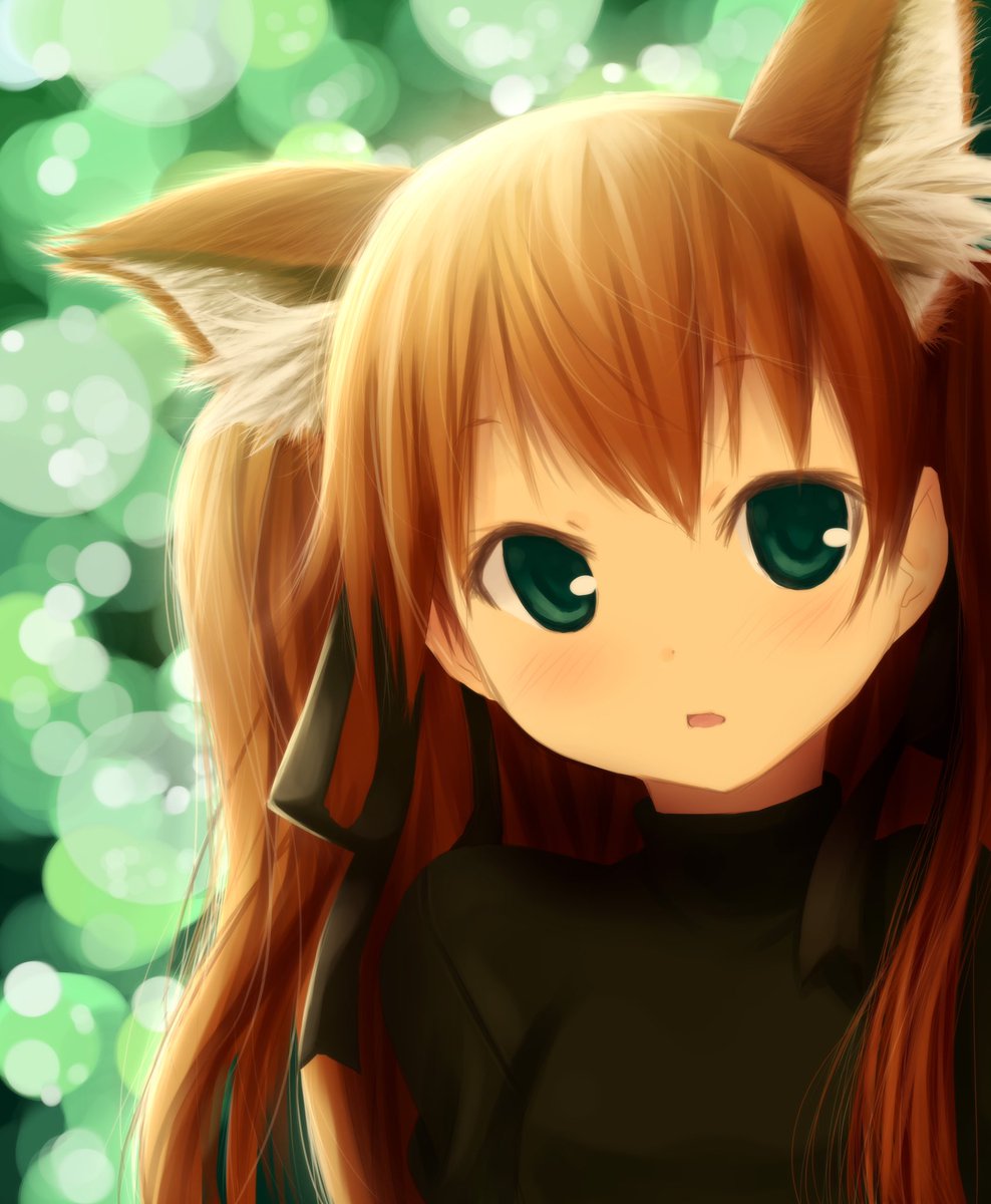 Twoucan わだぺん Wadapenn