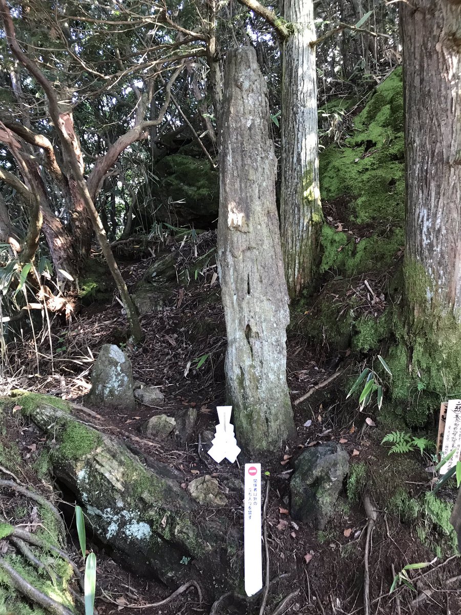 Zag 茨城県日立市にある御岩神社は アポロ14号の宇宙飛行士エドガー ミッチェル氏や日本人初の女性宇宙飛行士である向井千秋さんが 宇宙から 光の柱 が立っているのを見たと言われている場所なんです