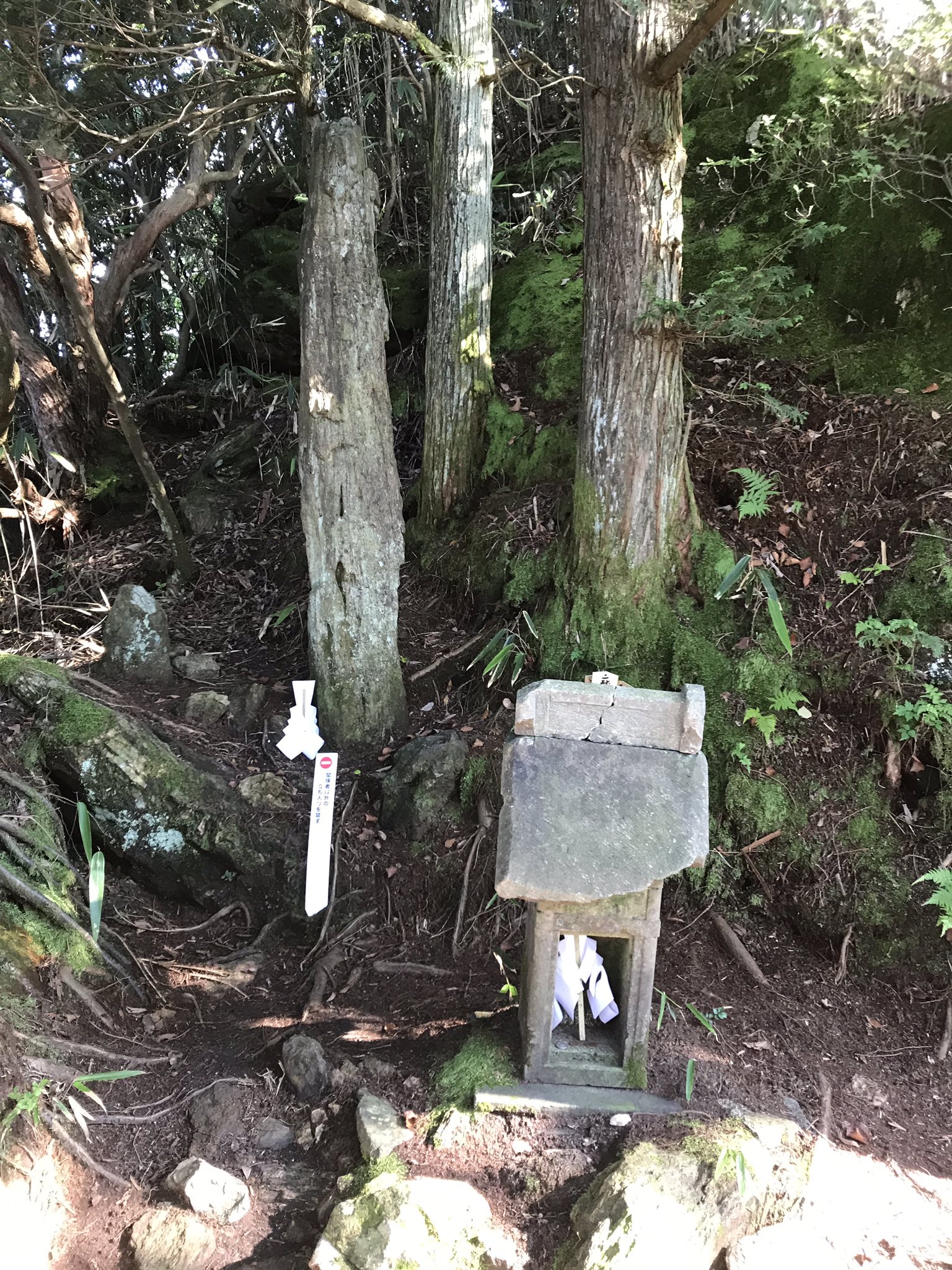 Zag 茨城県日立市にある御岩神社 は アポロ14号の宇宙飛行士エドガー ミッチェル氏や日本人初の女性宇宙飛行士である向井千秋さんが 宇宙から 光の柱 が立っているのを見たと言われている場所なんです T Co 15uqyvplxq Twitter