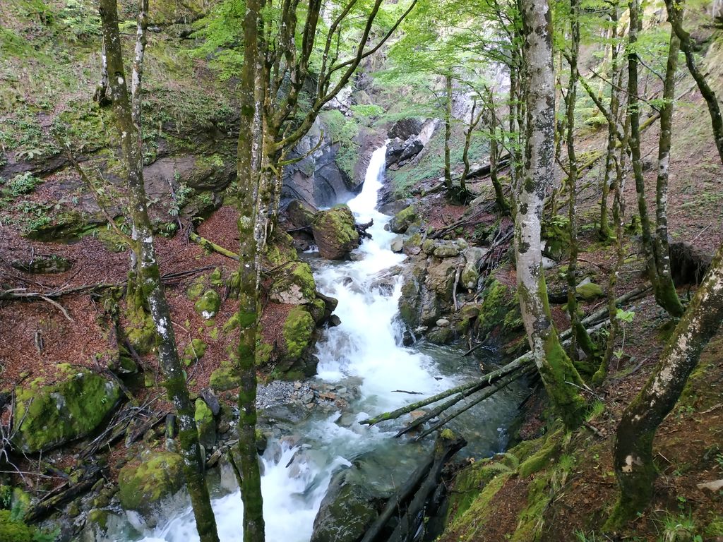 camp_fr's tweet photo. A @Tim4Shaw sound walk is always a breathtaking experience - but here, in this landscape, it's going to be extra special! Sign up for one of Tim's walks at CAMP HQ when you get to #CMMF next weekend! Tix: https://t.co/AFQW752DVf 🏔️ #fieldrecording #SoundWalkSunday #festival https://t.co/11ILQmZx3U