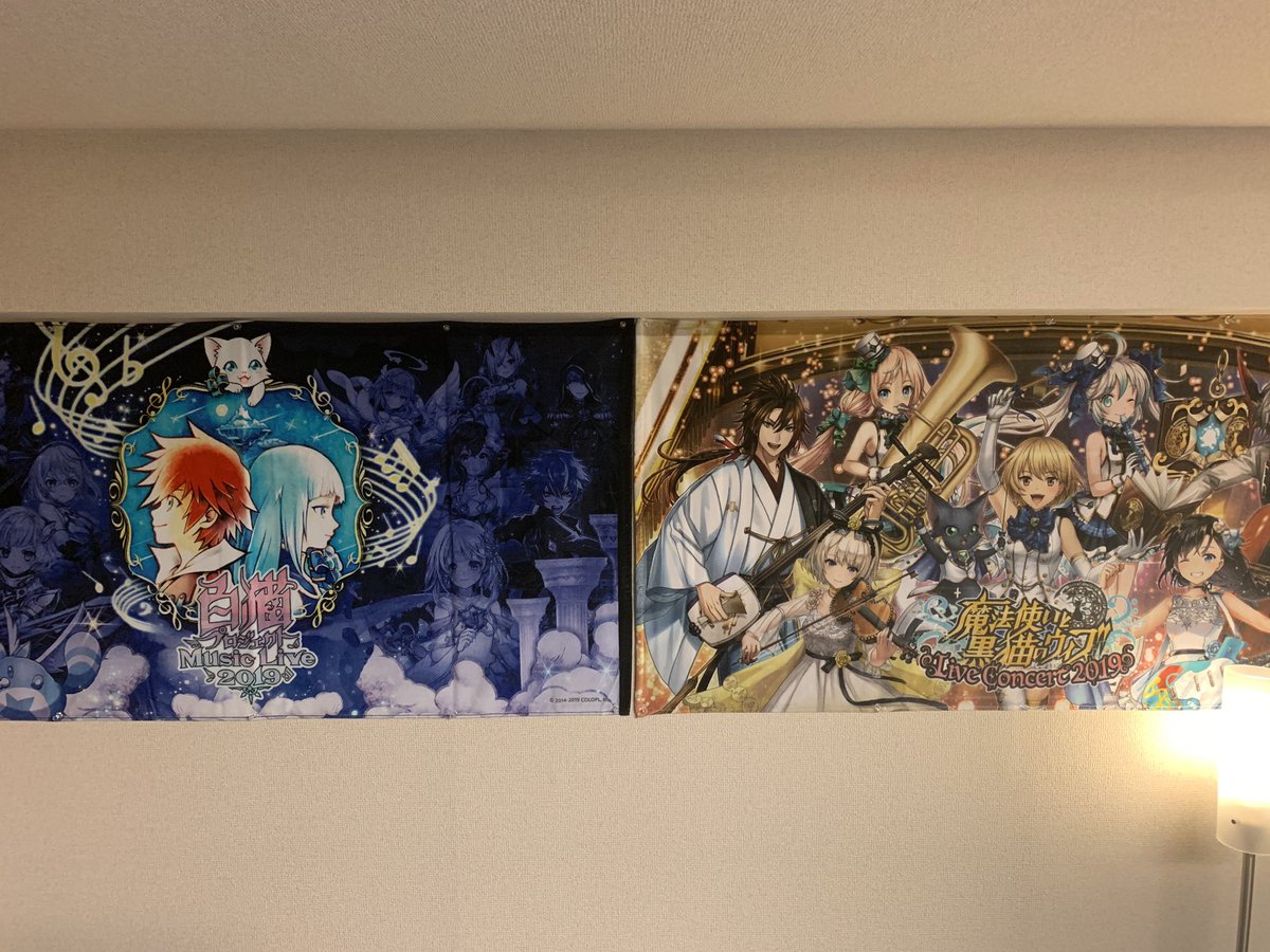 白猫ミュージックライブ بحث في تويتر