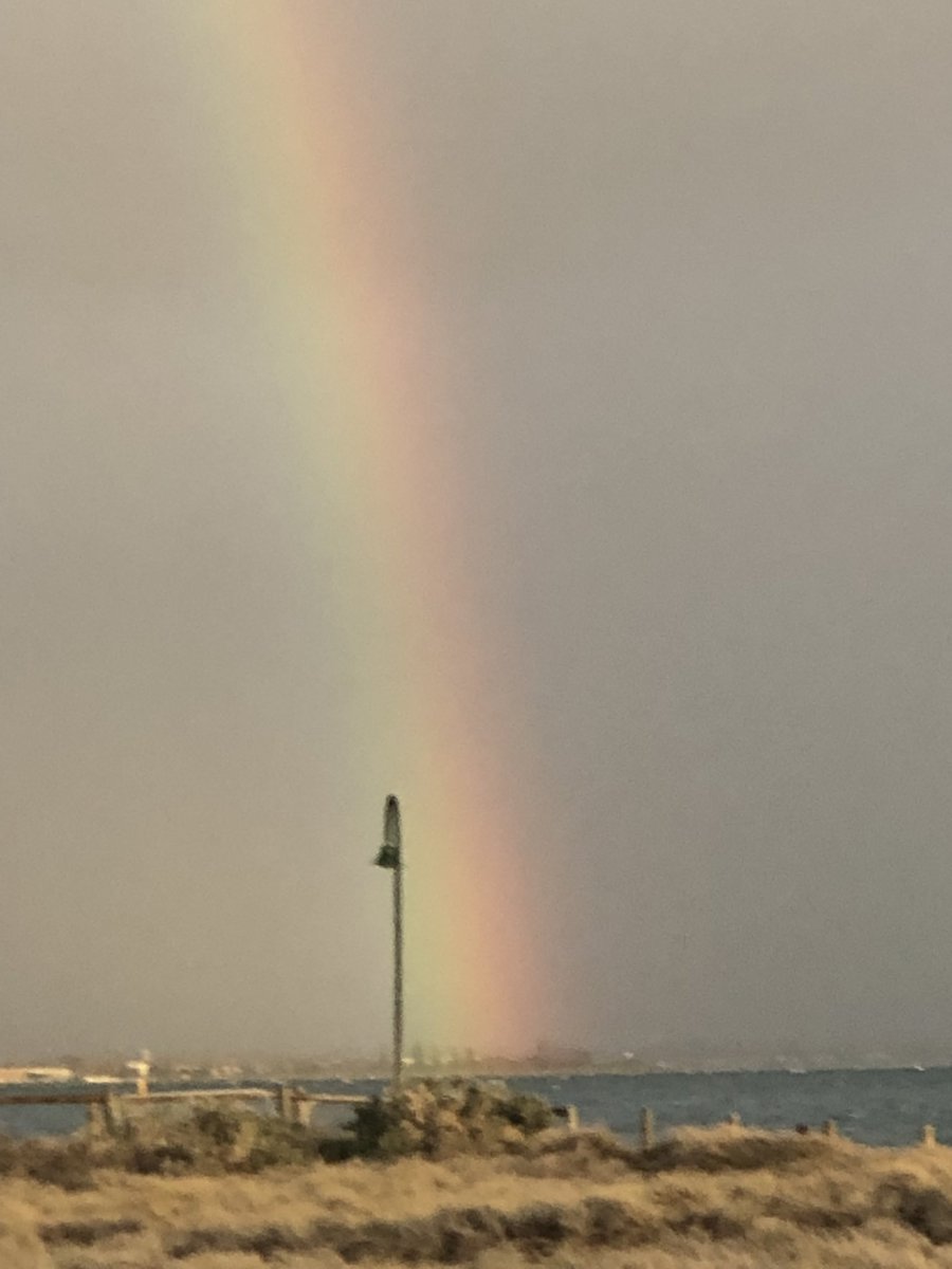 doclarkins's tweet image. Yes - it was cold, windy &amp;amp; regularly dribbling rain today but I decided not to be a wuss &amp;amp; make the hard decision to get out &amp;amp; do my 60 min session- &amp;amp; look what the exercise gods gave me #movetolive #exerciseismedicine #toughenup #worththeeffort