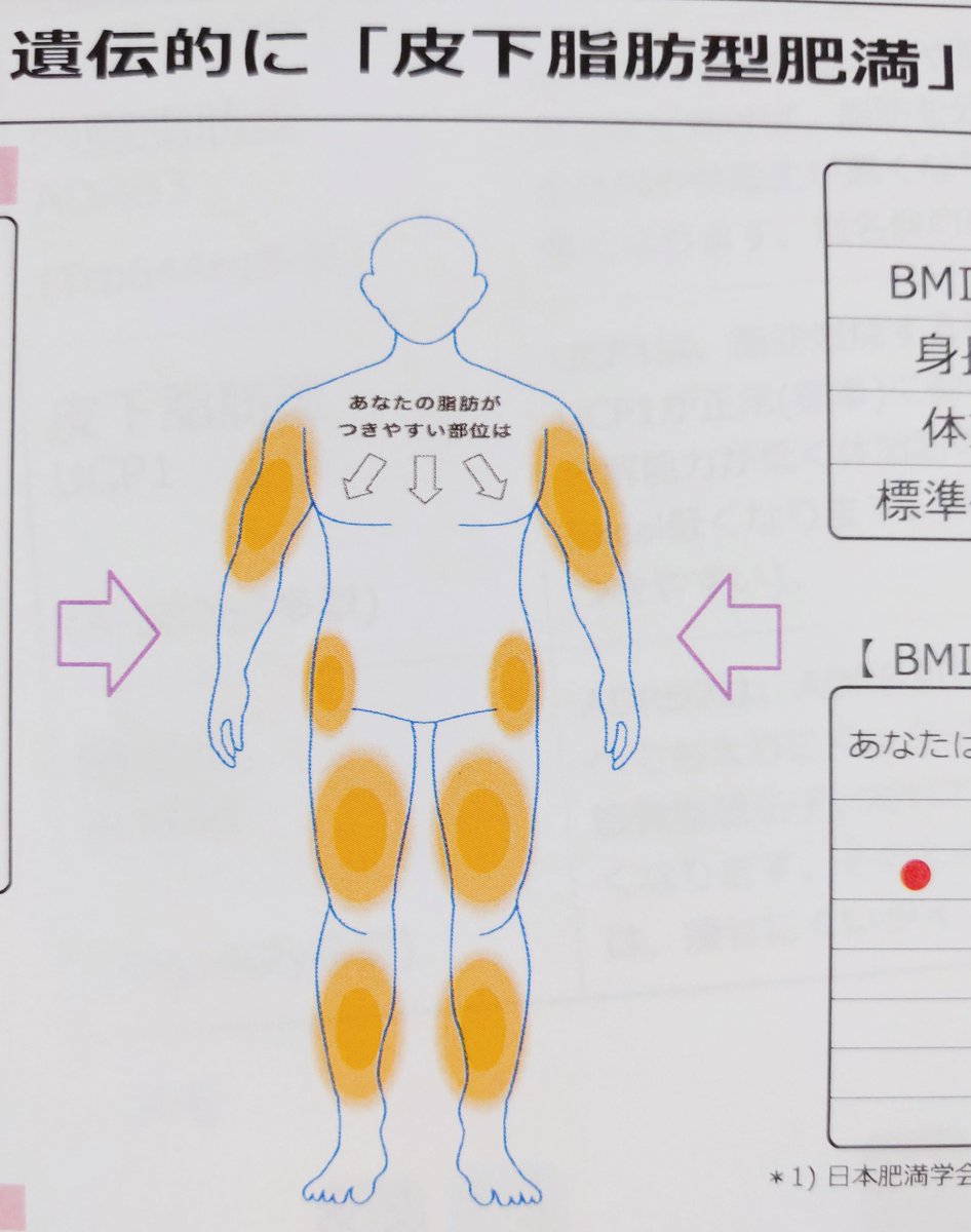 小城 久美子 Koshiro Kumiko ダイエットdna検査なるものをやってみた ほっぺたの粘膜を送って2週間 私は皮下脂肪型と痩せ型の子どもで脂質に弱くたんぱく質の吸収が悪くて 一度太ると 痩せづらいらしい 有酸素運動より筋トレが良い 揚げ物ngなので