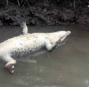 #GovHack19 is done for #AliceSprings and #Darwin..phew, exhausting, but well done everyone! See you at awards ceremony in NT October Business Month! <a href="/dka_connect/">DKA</a> <a href="/DIHubNT/">Darwin Innovation</a> @cityofdarwin <a href="/inspiringNT/">InspiredNT</a> <a href="/CDUni/">Charles Darwin University</a> <a href="/GovHackAU/">GovHack Australia</a>