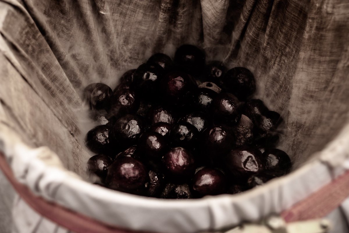 S M O K E D

Smoked Davidson Plum ready to be distilled into our Applewood colab old tom style gin for <a href="/byrdimelb/">B Y R D I</a> 
.
.
.
.
.
.
#byrdi #byrdimelb #applewooddistillery #gin #oldtom #smoked #davidsonplum #australia