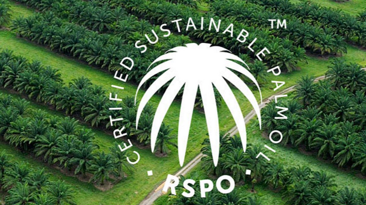 We are committed to sustainable development here at <a href="/CosmewaxSA/">Cosmewax</a>! 🌍 As well as having #Ecocert and #Cosmos certifications, the company is committed to not using #microplastics and to using #sustainable #palmoil 🌴 certified by the <a href="/RSPOtweets/">Roundtable on Sustainable Palm Oil</a> <a href="/WWF/">WWF</a> 

#CosmeEco #savetheplanet