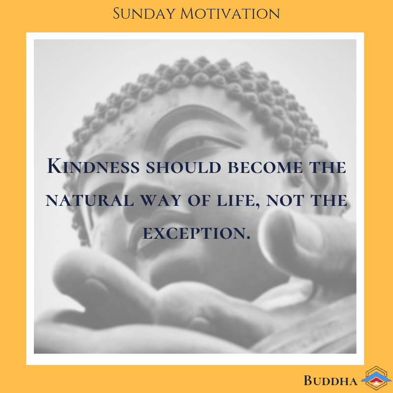 StartevAfrica's tweet photo. No matter what society believes, you should never be ashamed to show kindness.
Have a blessed Sunday people. 🙏🏽
https://t.co/iTlbfERUZu
.
.
#Startev #SundayMontivation #SundayMorning #GOAT #Buddha #Quotes https://t.co/U4TVY3MnTR