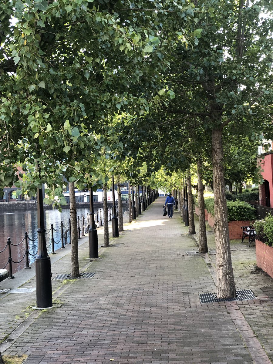 My husband and I went #LitterPicking @salfordquays on #SundayMorning 8am and ended up with 3 big bags of litter after 90 minutes. #LitterHeros #KeepBritainTidy @KeepBritainTidy @SQCommForum @salford_mayor