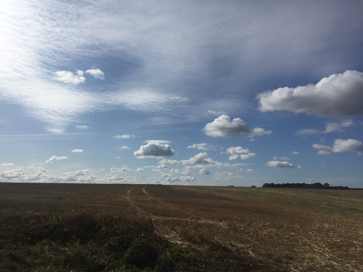 FCBBikeClub's tweet photo. M2L beautiful day for a ride! #o2o2019 https://t.co/upUobKH65p