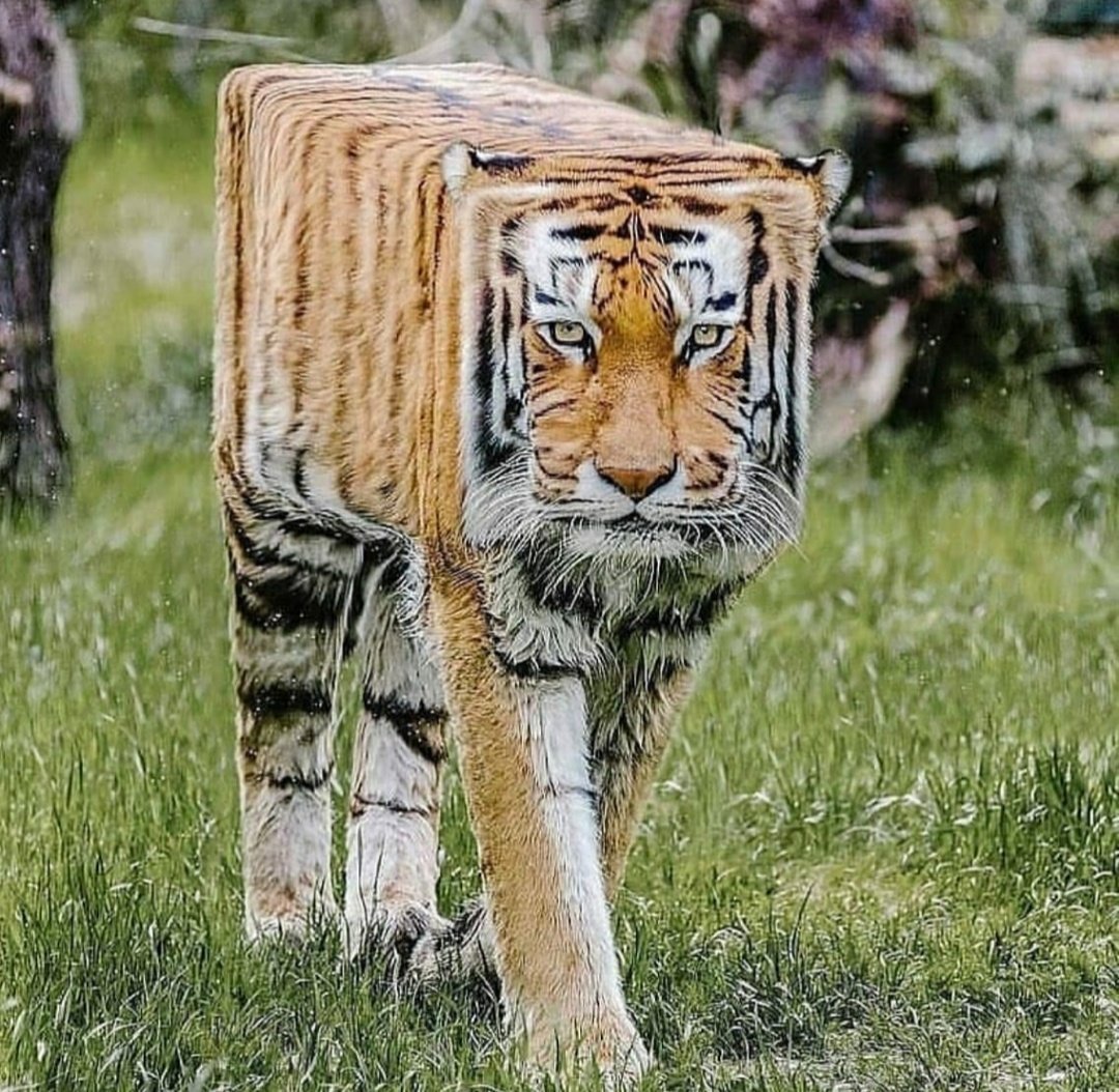 Gamers in the 90s: Wow, everything in this game looks so real!

The game: