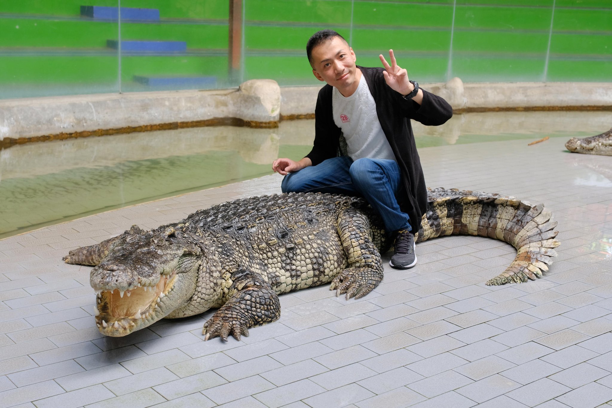 タイ動物園 Twitter Search Twitter