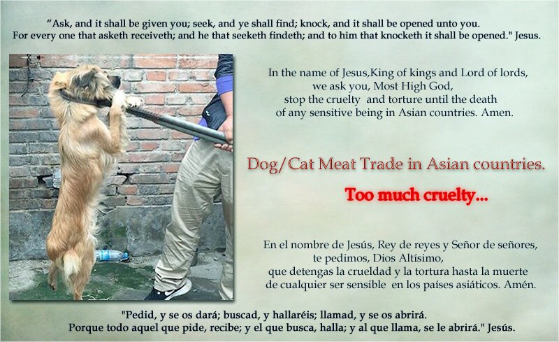 girasol2201's tweet photo. @GrouciDjamila @Kemlu_RI @jokowi #EndCatMeatTrade
#EndDogMeatTrade
#StopTheTortures
#Motivation #Motivación
#CatMeatFreeWorld
#AnyMeatFreeWorld
#FightForTheInnocent
#CompassionOverCruelty https://t.co/K0Grbtslmn