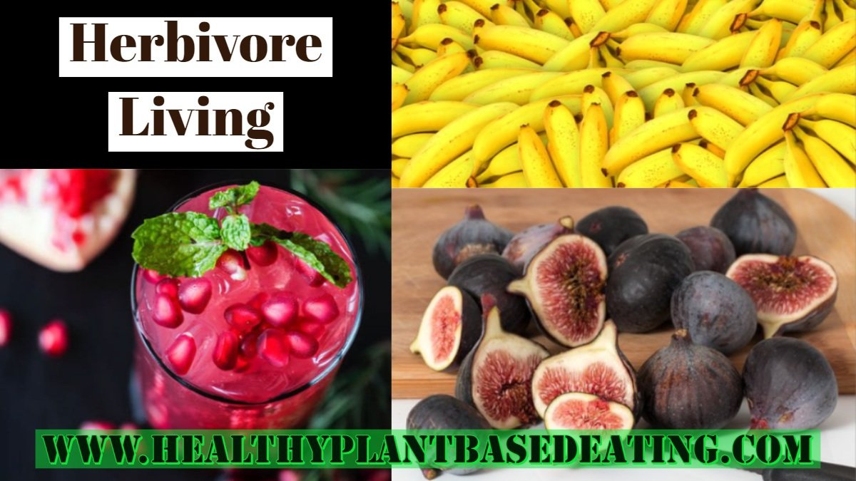 Plantbased129's tweet photo. #plantpower #herbivoreliving #plantbased https://t.co/WIBtWVyiw8