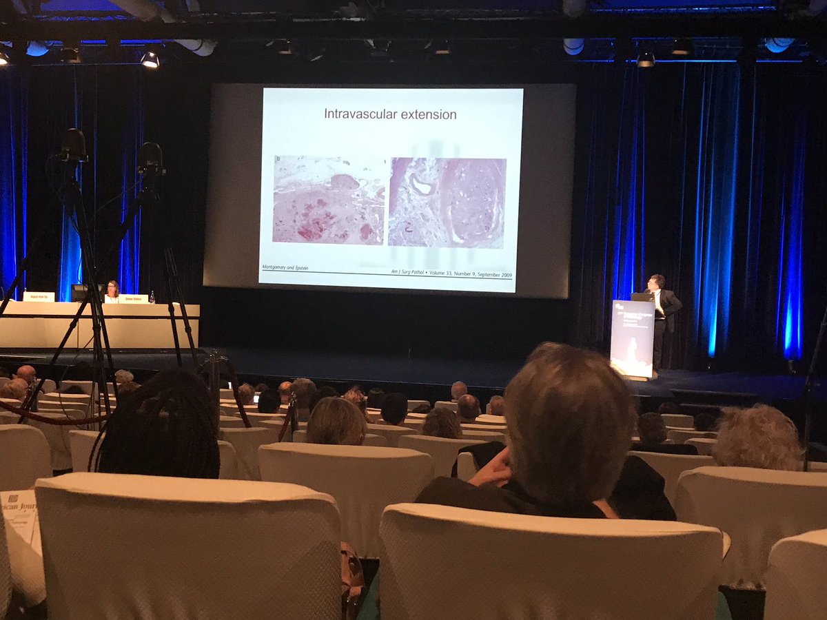 and we’re killing it: Our very Dr. August Vidal masterfully presenting a beautiful and rare case of Anastomosing Hemangioma of the Ovary, at the GynPath Diagnostic Mistakes session! 💜 #gynpath #ECPNice2019 #pathology