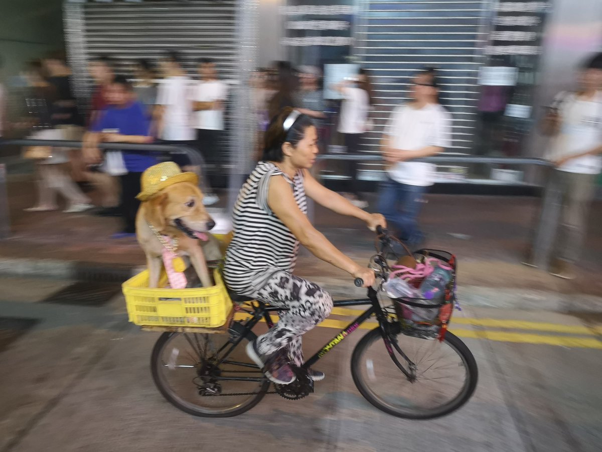 lostdutchhk's tweet photo. Taking your dog on a Sunday night bike ride through the protest zone....
#antiELAB #HongKong #HongKongProtest https://t.co/ghq1n5JA5k