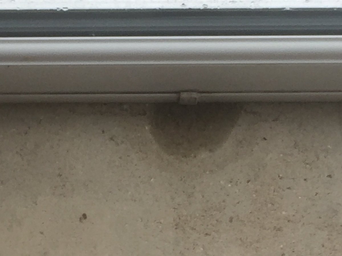 tompkins_1970's tweet photo. @Clean_And_Coat another happy customer I don’t think. https://t.co/qLG650KRuf
