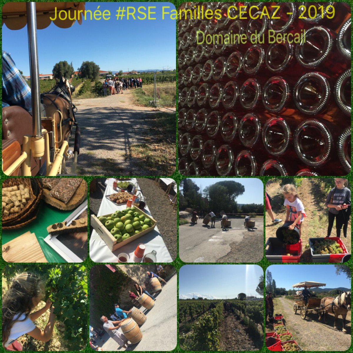 PascaleG_RSE's tweet photo. Les #valeurs #CECAZ partagées par des familles heureuses d avoir pu participer à cette journée solidaire, ludique, pédagogique et conviviale ! #engagement #RSE #Domainedubercail #ADAPEI @CE_CotedAzur #MissionReussie 😉 https://t.co/CMHRIpk3ZB