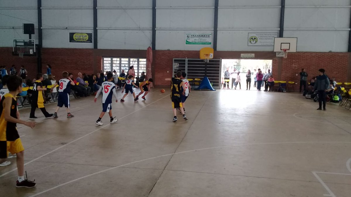 marcapersonalsf's tweet photo. 🏀🏀 Hermoso domingo para los pequeños en el Encuentro de Escuelitas de @BasquetCas 👏👏 https://t.co/YIAUBGpEww