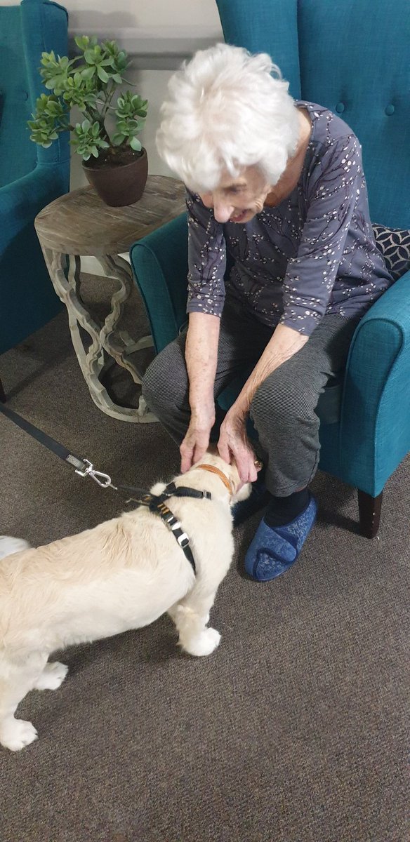 AhThameside's tweet photo. Today the beautiful #Goldenretriever Bear came to visit our #residents so much #fluffyness and #love and lots of #giggles and he is still a little bigger 😂😂 #puppylove #puppiesofinstagram #dogsoftwitter @AnchorHanover https://t.co/SM88LloJ7r