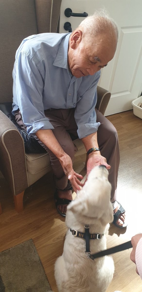 AhThameside's tweet photo. Today the beautiful #Goldenretriever Bear came to visit our #residents so much #fluffyness and #love and lots of #giggles and he is still a little bigger 😂😂 #puppylove #puppiesofinstagram #dogsoftwitter @AnchorHanover https://t.co/SM88LloJ7r