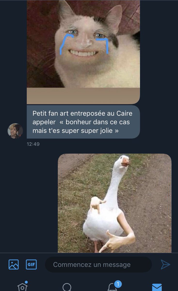 iress_v's tweet image. Yen a vous être grv inventifs 😭