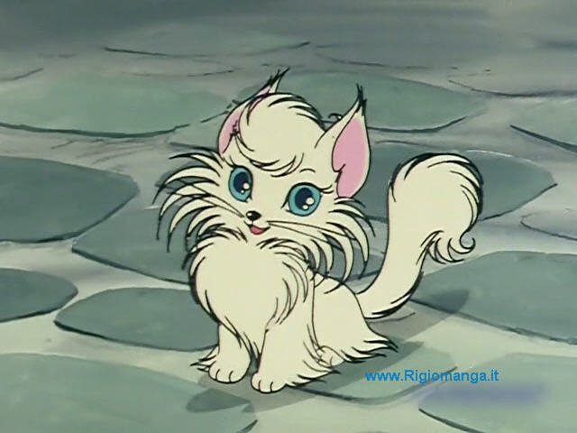 Bruce0209 花の子ルンルン キャトー 🤣