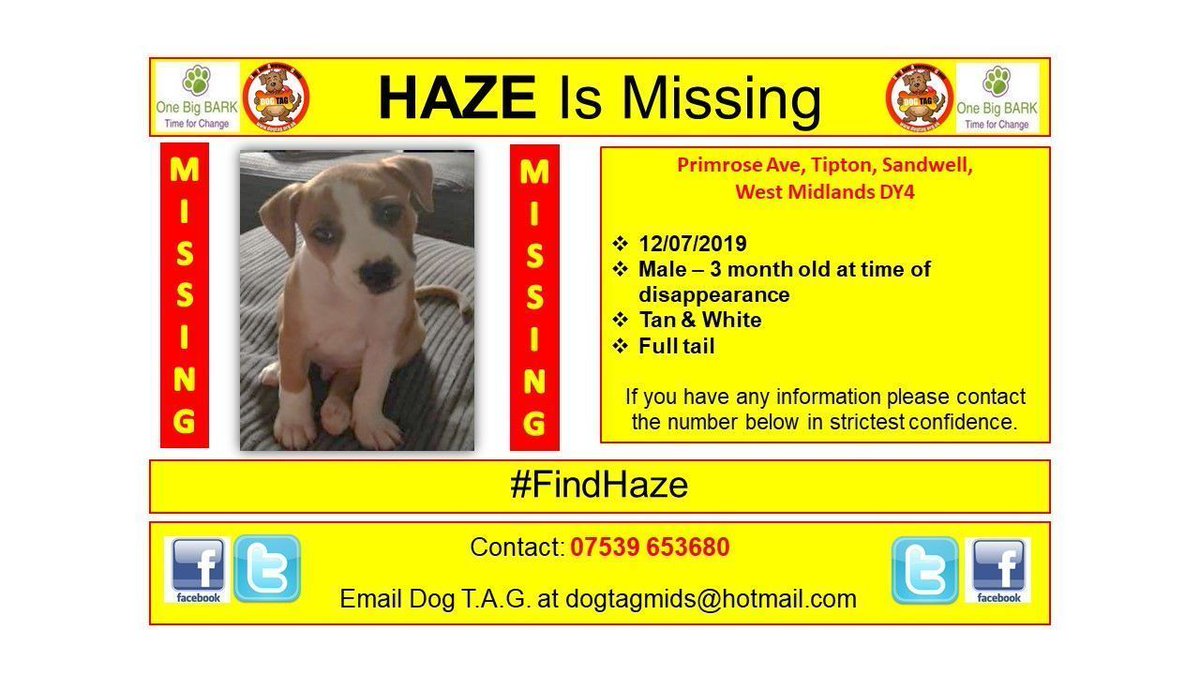 DogTAGMids's tweet photo. #FindHaze
Missing from:
Primrose Ave, Tipton, Sandwell,
West Midlands DY4
12/07/2019
Male – 3 month old at time of disappearance
Tan & White
Full tail
☎️ 07539 653680
#lostpets #lostdogalert https://t.co/15PHGfTFkI