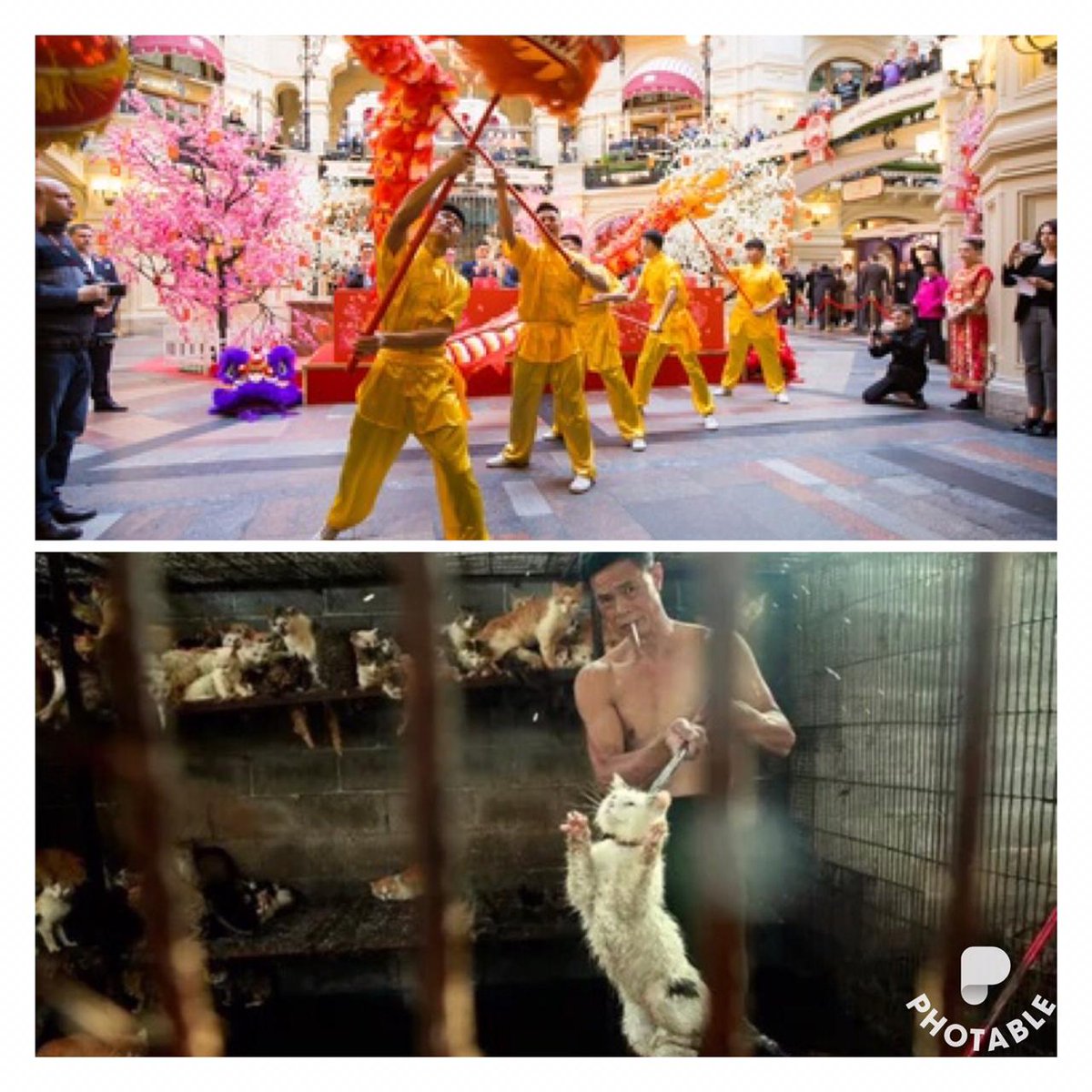 ru_yulin's tweet photo. Наша команда планирует 14 и 15 сентября посетить две площадки, на которых пройдёт фестиваль Китая. ВДНХ и парк Хуамин. ПОДДЕРЖИ Нас! МЫ - ЖДЁМ Тебя! Подробнее 👉🏻
https://t.co/68RmDIMmdv
#stopyulin #Stop_Yulin #StopYulinForever #Yulinfestival #stopyulinfestivalforever https://t.co/Ac4TicKJmn