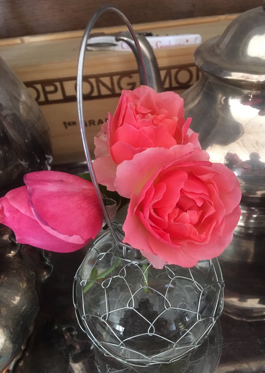 bouillcoud's tweet image. Pour ce dimanche après-midi, ces 2 #roses #JeanCocteau &amp;amp;, à gauche, #1rose #LineRenaud 😀