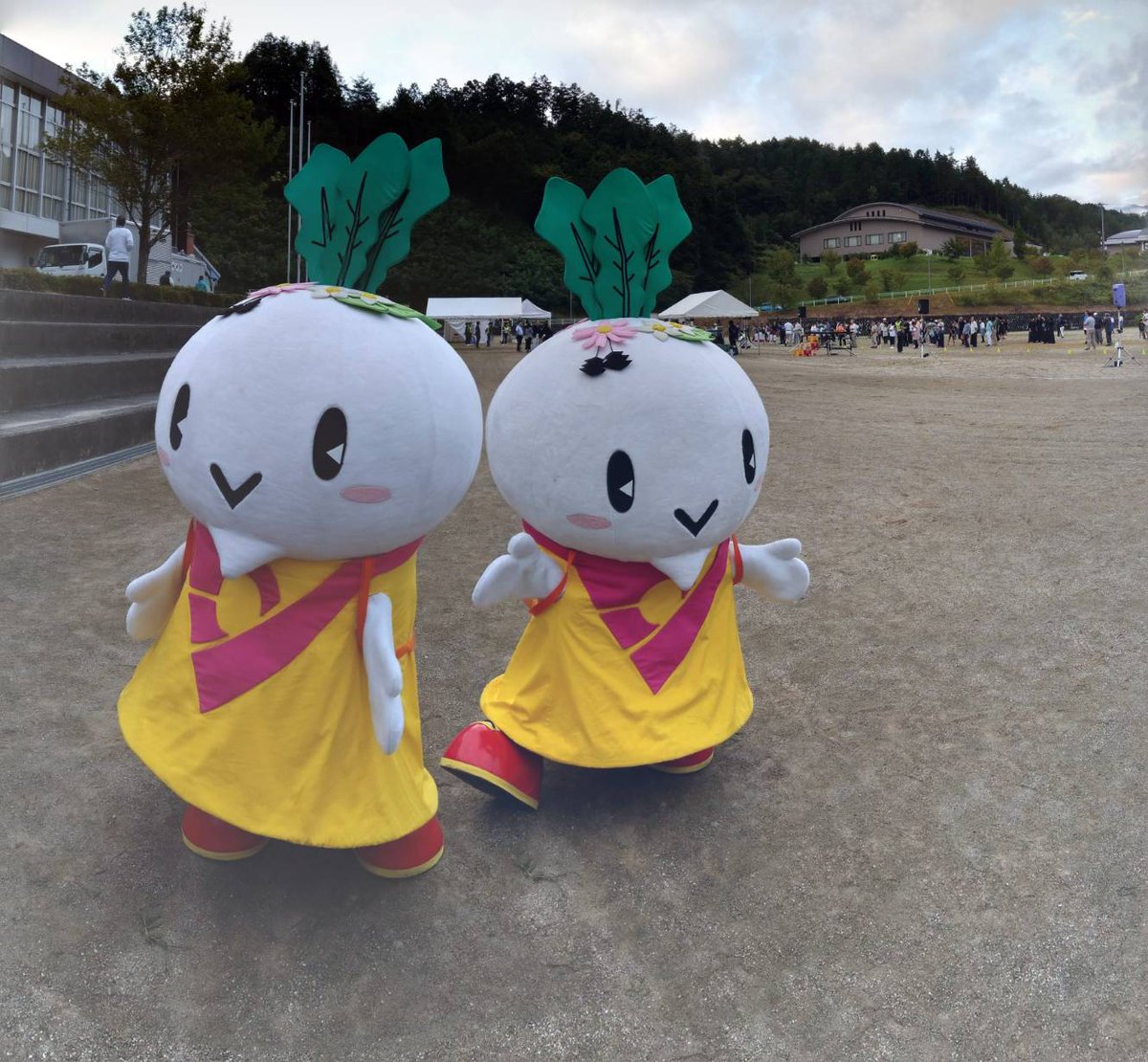 びっくり写真 ট ইট র অন সন ধ ন