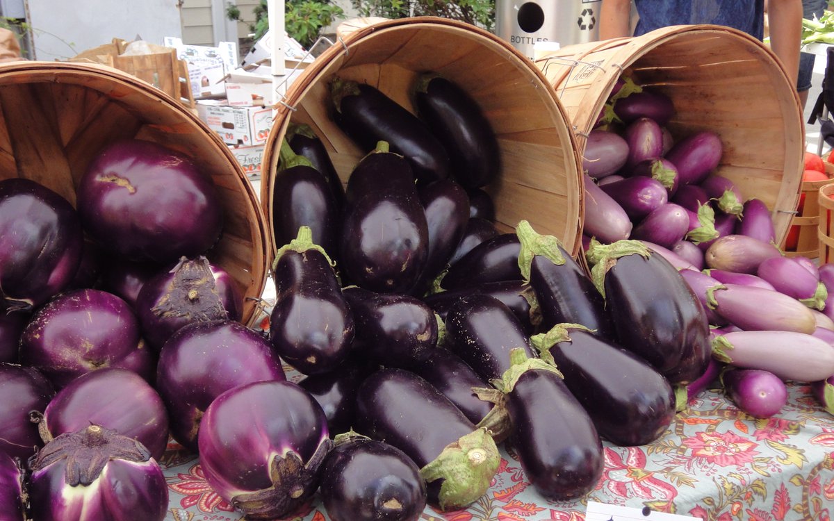 DailyNJTrivia's tweet image. NJ is the #1 producer of eggplants in the United States according to the Federal Census of Agriculture - growing 849 acres of eggplants. CA grows 705 acres, FL 685 and GA 624. Fact! @JerseyFreshNJDA @USDA
