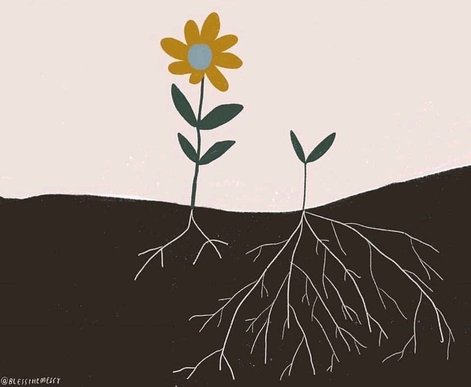 Growth looks different for every student, but growing is growing. It is about getting each student to realize their potential.
 #growthmindset