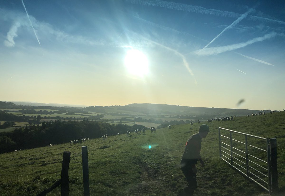 Farm rounds this morning - what a view in this Sunday sun!! ☀️🐑 #sheep #ewes #FarmerWill #EastMeon #SouthDowns #MeonValley #Hampshire @sdnpa #grassfedlambs @Sheep_365 #farm365 @LoveLambWeek